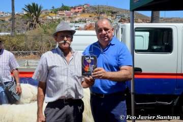 Muestra de ganado de las fiestas del patrono de Telde (Foto  Francisco Javier Santana)